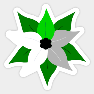 Pride Poinsettia Sticker